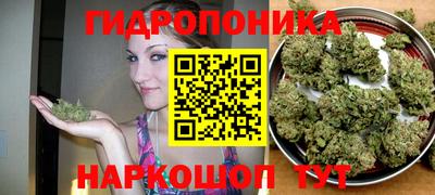 PSILOCYBIN Донской