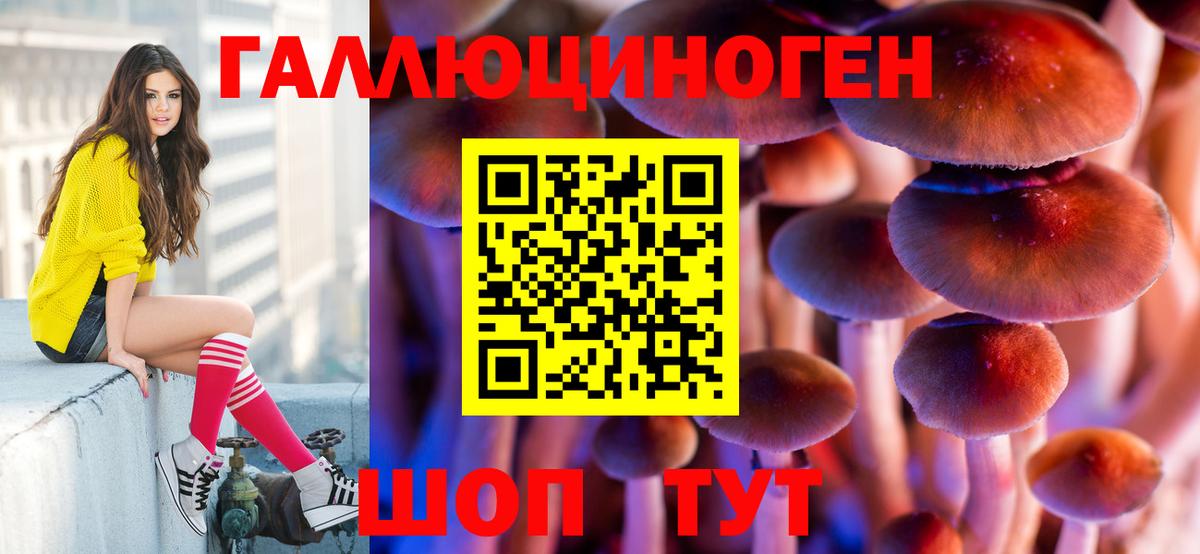 Галлюциногенные грибы MAGIC MUSHROOMS  Вход с VPN  Дюртюли 